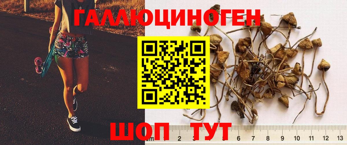 Псилоцибиновые грибы прущие грибы  Вход с VPN  Псилоцибиновые грибы Psilocybe  Балабаново 