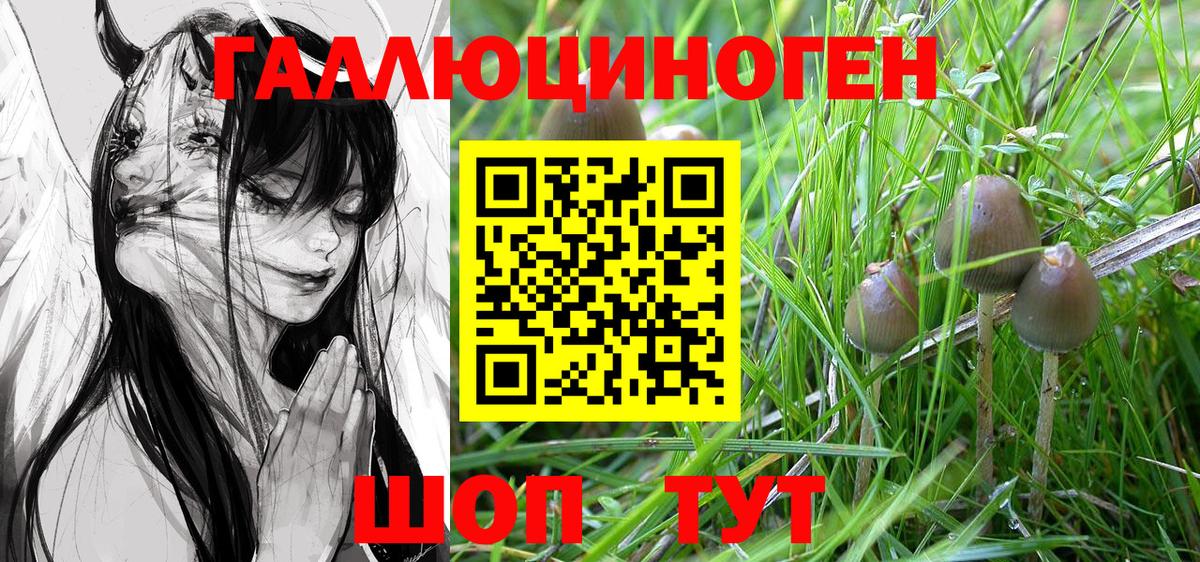 Галлюциногенные грибы мухоморы Балабаново
