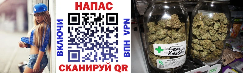 Бошки Шишки план  Балабаново 